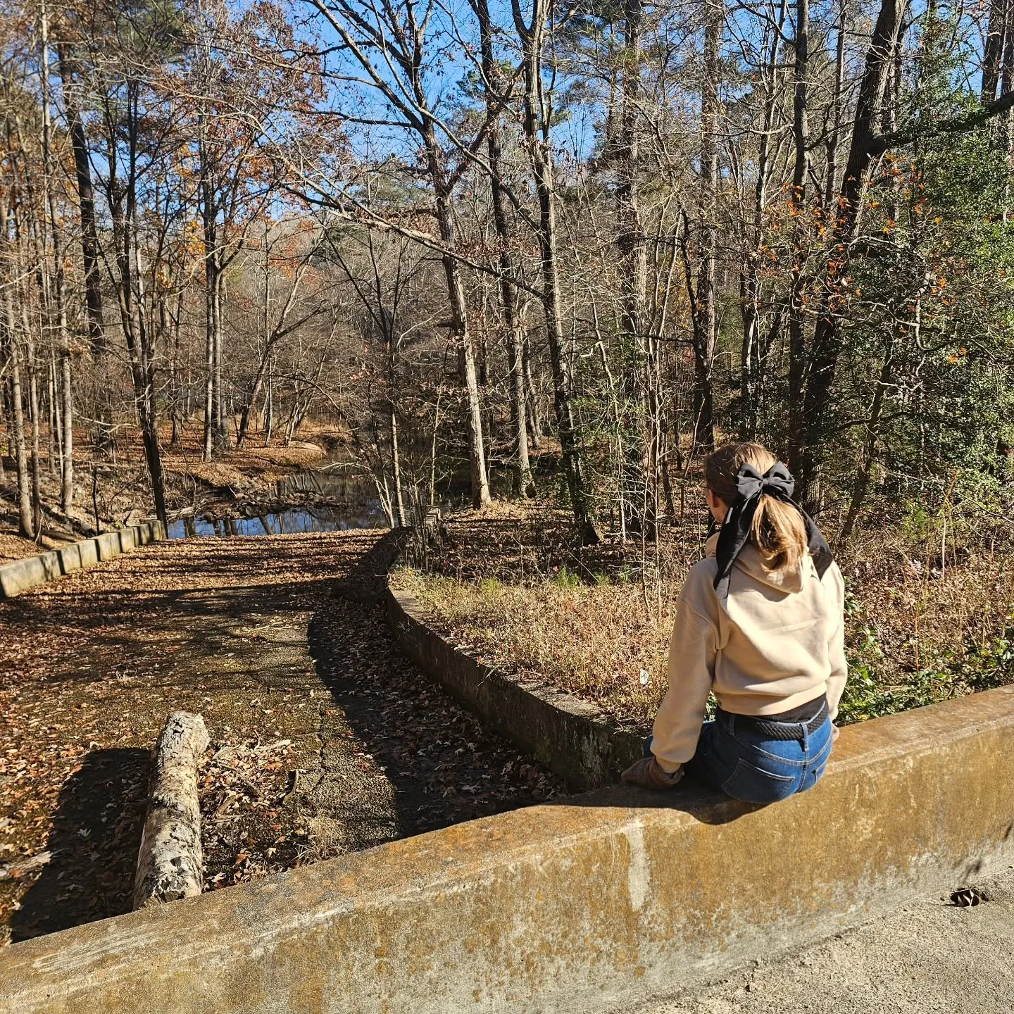 A person sits on a low wall overlooking a leaf-covered woodland path.